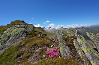 Wanderurlaub in Großarl