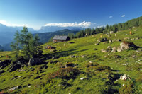 Wanderurlaub im Großarltal